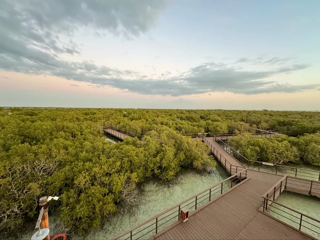 Jubail Mangrove Park