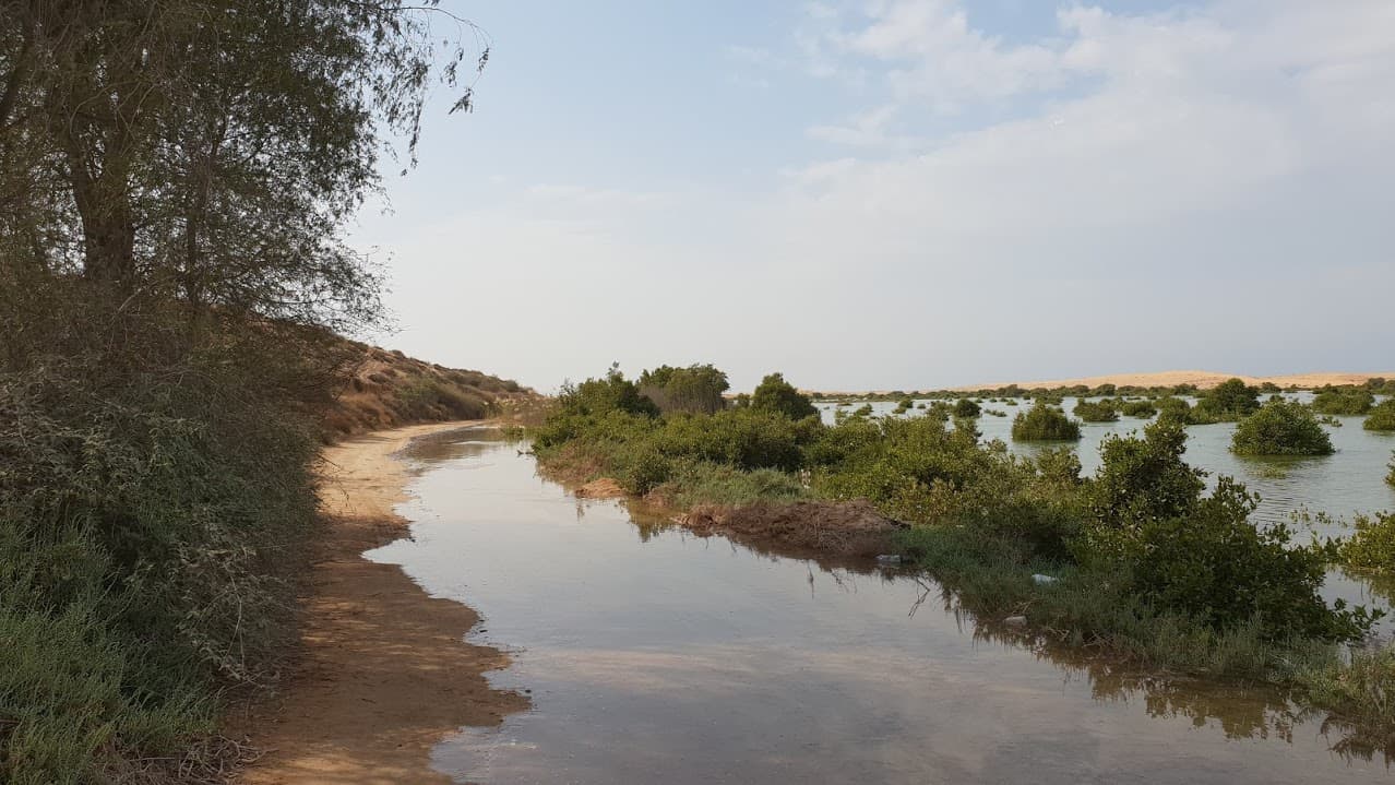 Flamingo Beach & Mangrove Lagoon